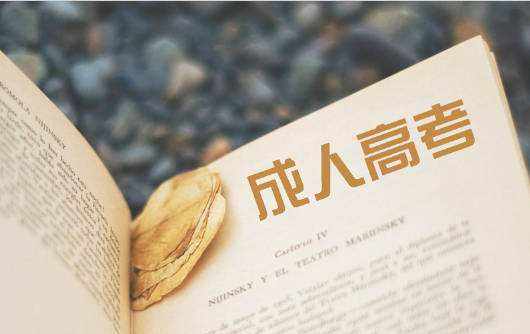 2026年吉林省成人高考专升本通过率